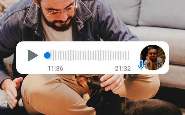 Áudio da sessão de comunicação intuitiva animal enviado pelo WhatsApp